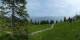 Luchsingen 08.06.2025 14:31