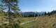 Luchsingen 29.04.2025 14:31