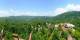 Gatlinburg, Tennessee 07.07.2025 14:32