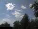 Miehlen 12.07.2025 14:32