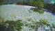 Bovec 15.06.2025 14:32