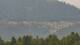 Dobel 08.06.2025 14:33