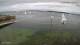 Bangor 15.06.2025 14:33