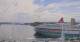 Viking Vela 29.04.2025 14:33