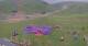 Kuzun 03.07.2025 14:33