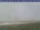 Matagorda, Texas 25.03.2025 14:34