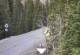 Ironton, Colorado 30.04.2025 14:36