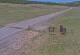 Creede, Colorado 14.06.2025 14:36