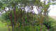 Markgrafenheide 08.06.2025 14:35
