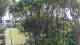 Markgrafenheide 20.05.2025 14:35