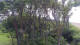 Markgrafenheide 14.06.2025 14:34