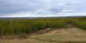 Talkeetna, Alaska 13.05.2025 14:01