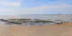 Saint-Brevin-les-Pins 29.04.2025 14:16