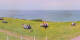 Donville-les-Bains 01.05.2025 14:11