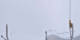 Crans Montana 05.05.2025 14:34