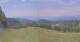 Rachau 05.07.2025 14:35