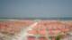 Tortoreto Lido 09.06.2025 14:49