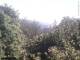Herdecke 30.04.2025 14:50