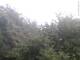 Herdecke 05.07.2025 14:50