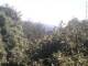 Herdecke 10.05.2025 14:50