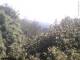 Herdecke 18.04.2025 14:50