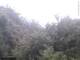 Herdecke 14.06.2025 14:50