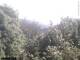 Herdecke 29.04.2025 14:50