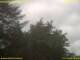 Nettetal 11.07.2025 14:50