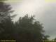 Nettetal 08.06.2025 14:50