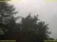 Nettetal 06.07.2025 14:50