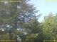 Nettetal 14.06.2025 14:50