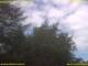 Nettetal 07.07.2025 14:50