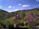 Diedenshausen (Bad Berleburg) 30.04.2025 14:51