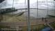 Brightlingsea 05.07.2025 14:51