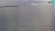 Piran 08.05.2025 14:51