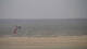 Borkum 14.06.2025 14:45