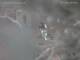 Dinkelsbühl 09.07.2025 14:51