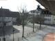 Rimbach 04.03.2025 14:45