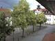 Rimbach 14.06.2025 14:45
