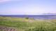Laukvik 15.06.2025 14:52