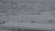 Fort Walton Beach, Florida 30.04.2025 14:49