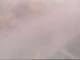 Fort Lauderdale, Florida 02.07.2025 14:49