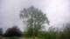 Harriman, New York 14.06.2025 14:51