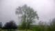 Harriman, New York 08.06.2025 14:51