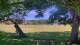 Camp Verde, Texas 11.05.2025 14:54