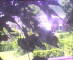 Flachau (Salisburgo) 14.06.2025 15:52