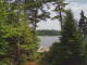 Hoel Pond, New York 14.07.2025 15:58