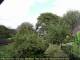 Audley 17.04.2025 15:53