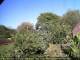 Audley 29.04.2025 15:53