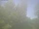 Ittigen 05.07.2025 15:46